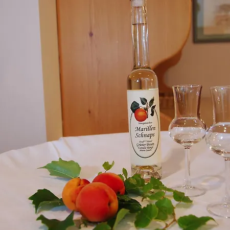 Dorf Gruener Baum Szálloda